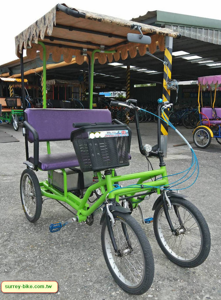 Electric Buddy Bike for 2 people